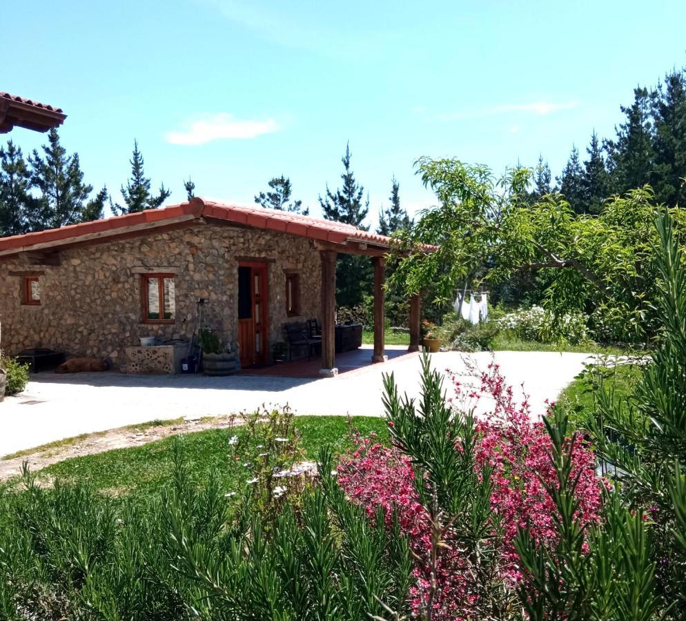 Belaustegi Turismo Rural Ispaster Exterior photo